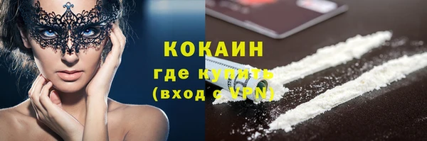прущие грибы Волосово