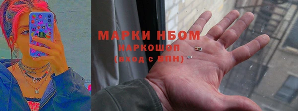 прущие грибы Волосово