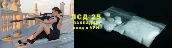 прущие грибы Волосово