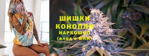 прущие грибы Волосово