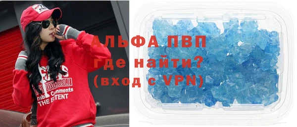 прущие грибы Волосово