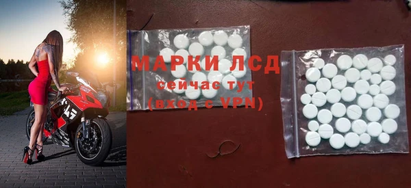прущие грибы Волосово